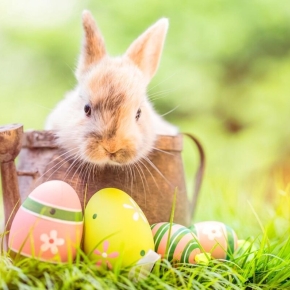 Velikonoční prázdniny